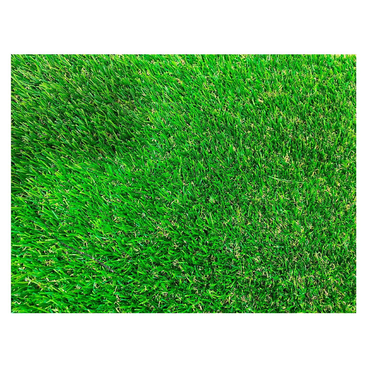 Detalle cenital de pasto ornamental premium 25 mm con mezcla de tonos verdes