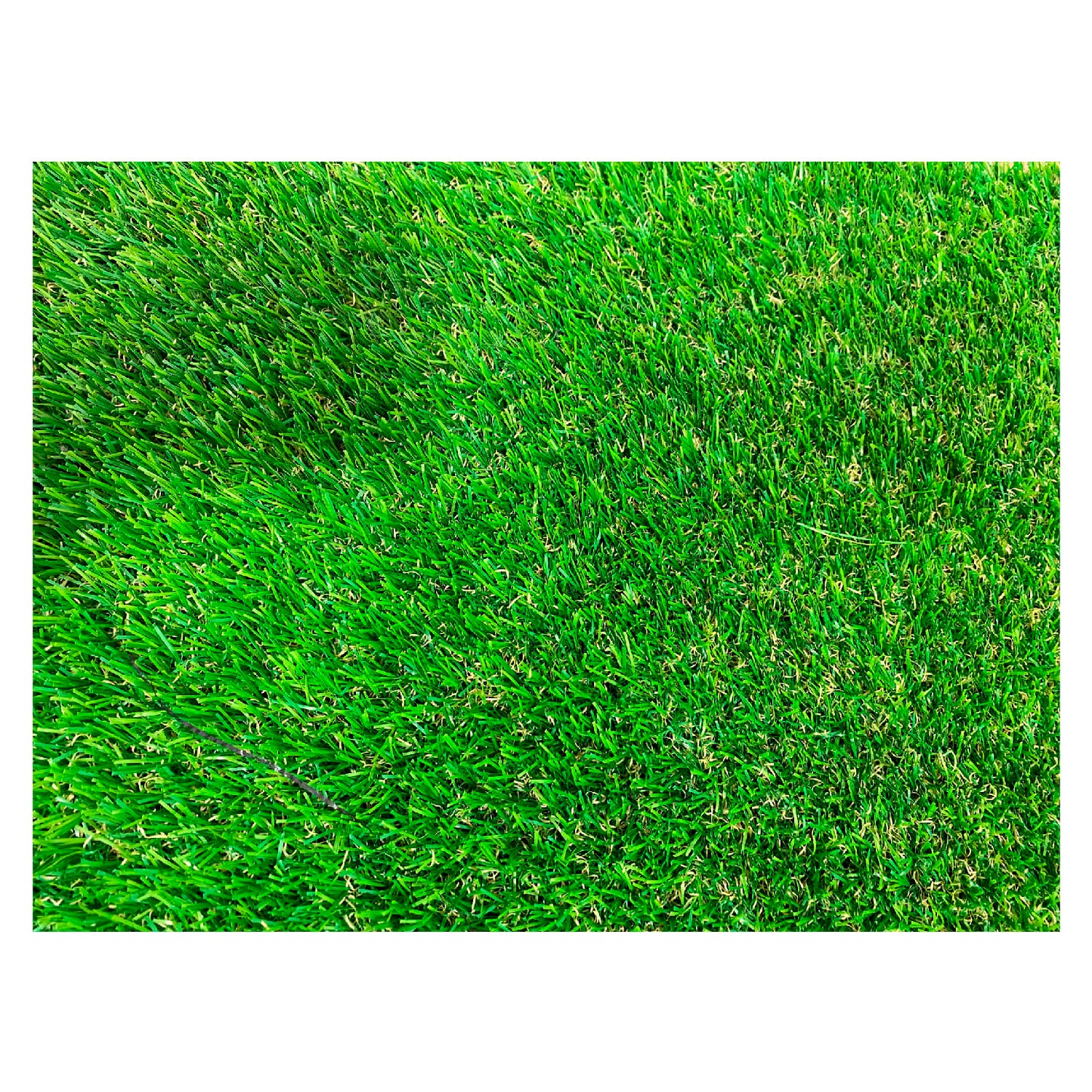 Detalle cenital de pasto ornamental premium 25 mm con mezcla de tonos verdes