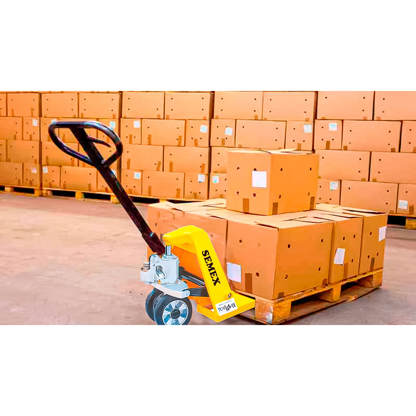 Transpal 2500Kg 685X1150Mm R:Nylon