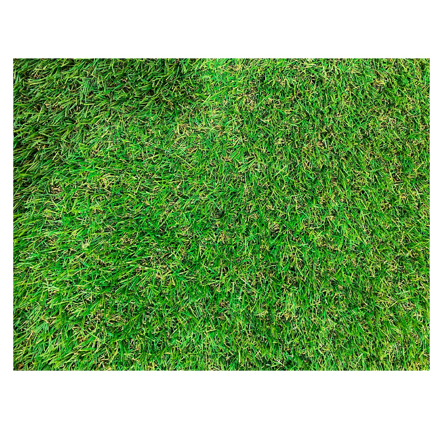 Vista cenital de pasto ornamental Soft de 25 mm