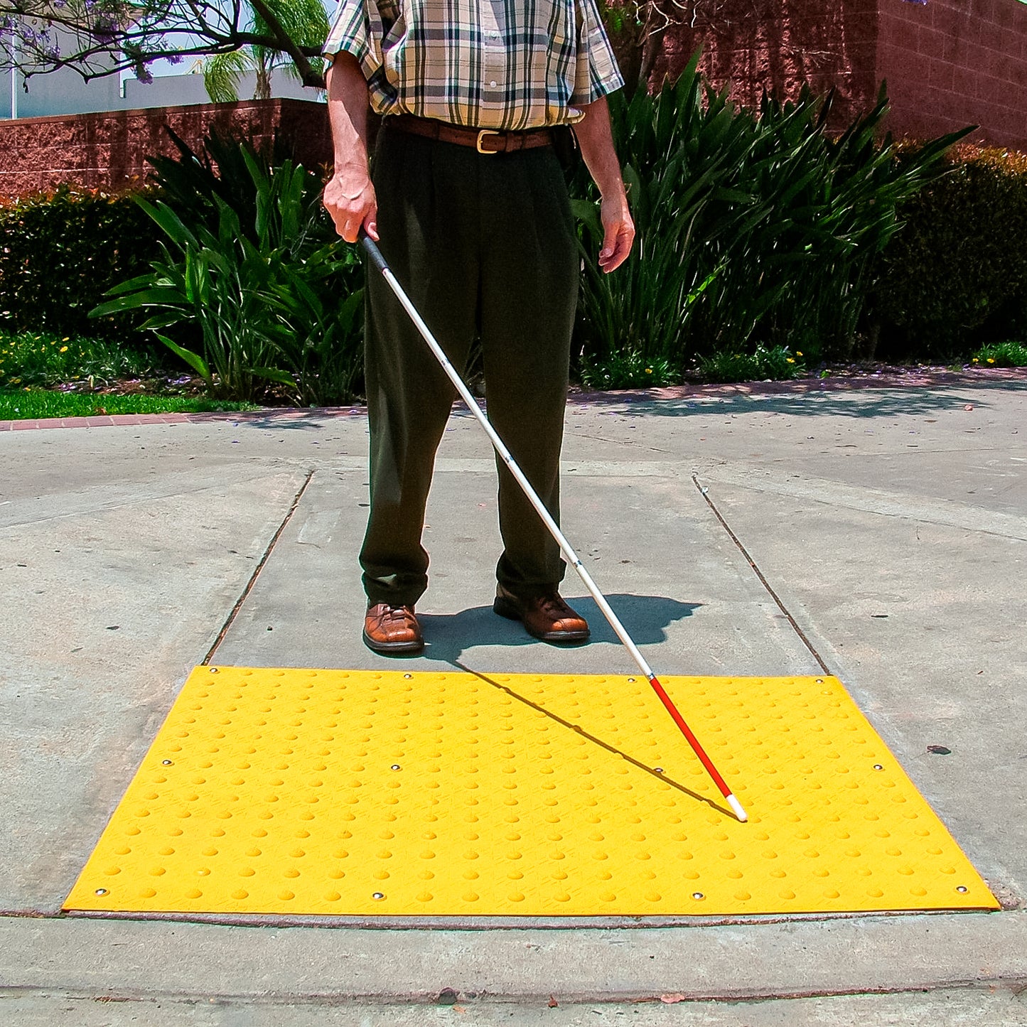 Palmeta Alertcast Ama 61X91Cm (2X3)