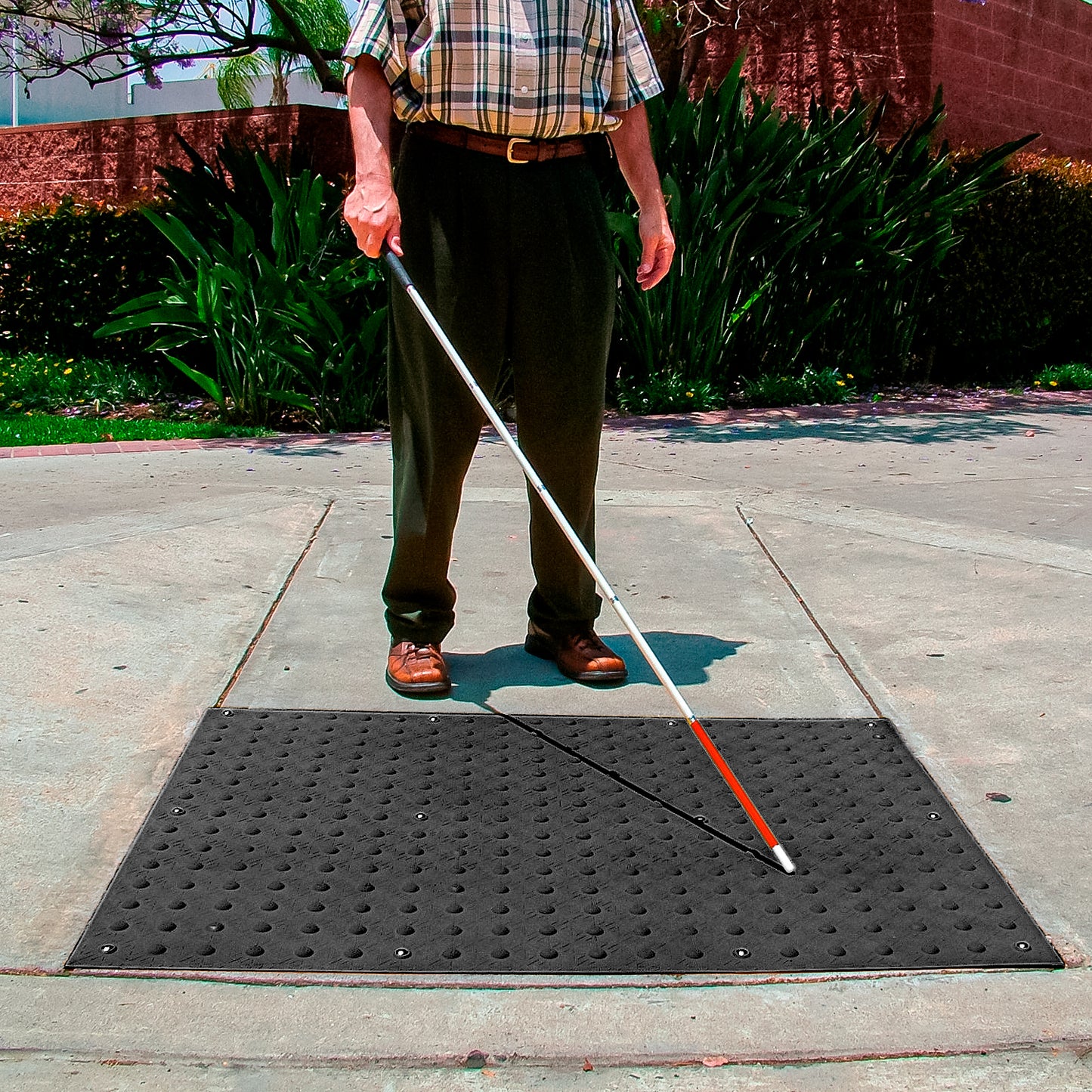 Palmeta Alertcast Neg 61X152Cm (2X5)