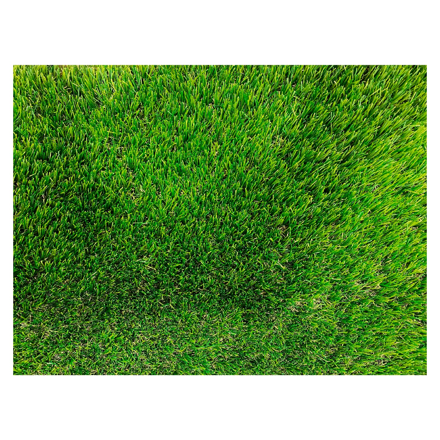 Vista cenital de pasto ornamental Royal antiestático de 40 mm