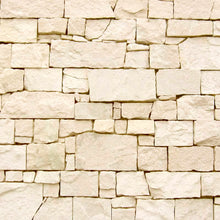 Fachaleta Piedra Rustica Beige (Palm 20X60Cm)4 Un (0,48 M2)
