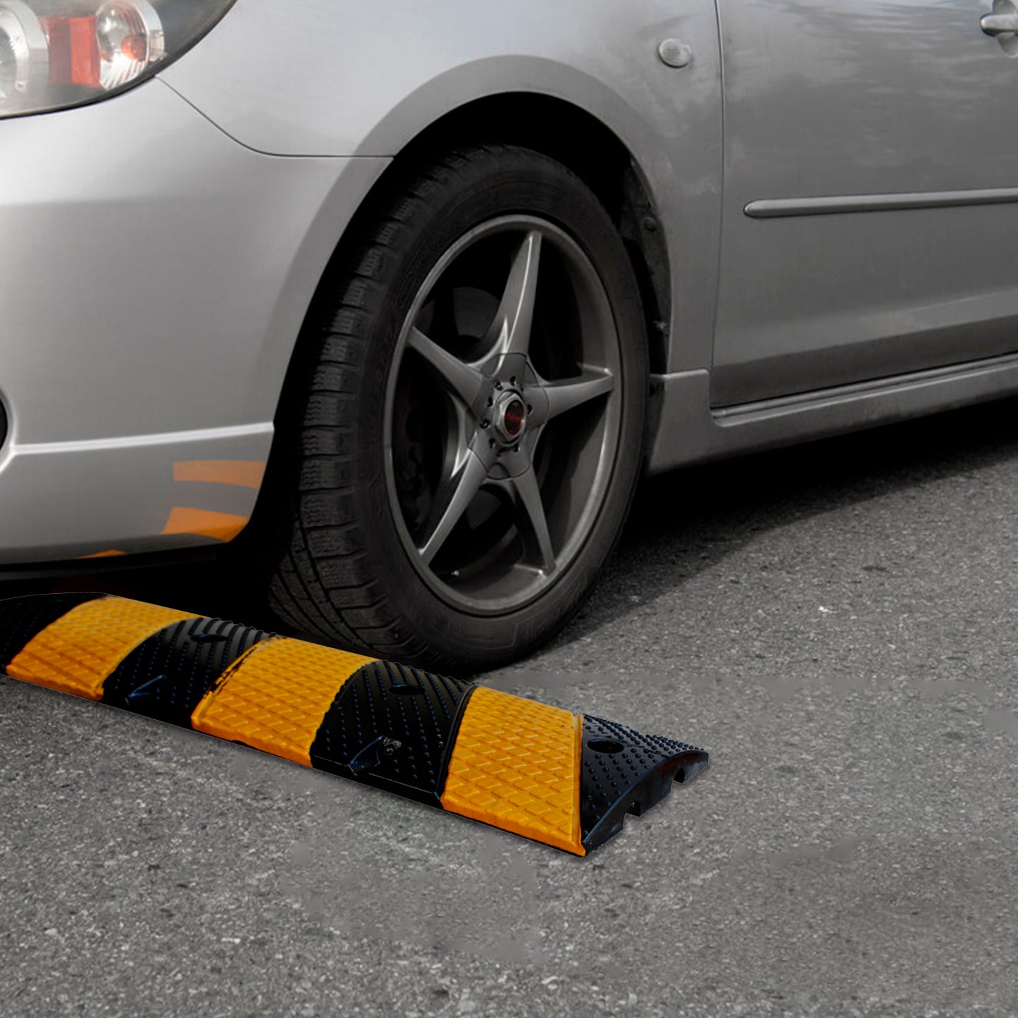 Lomo Toro Royal 1,80 Mts