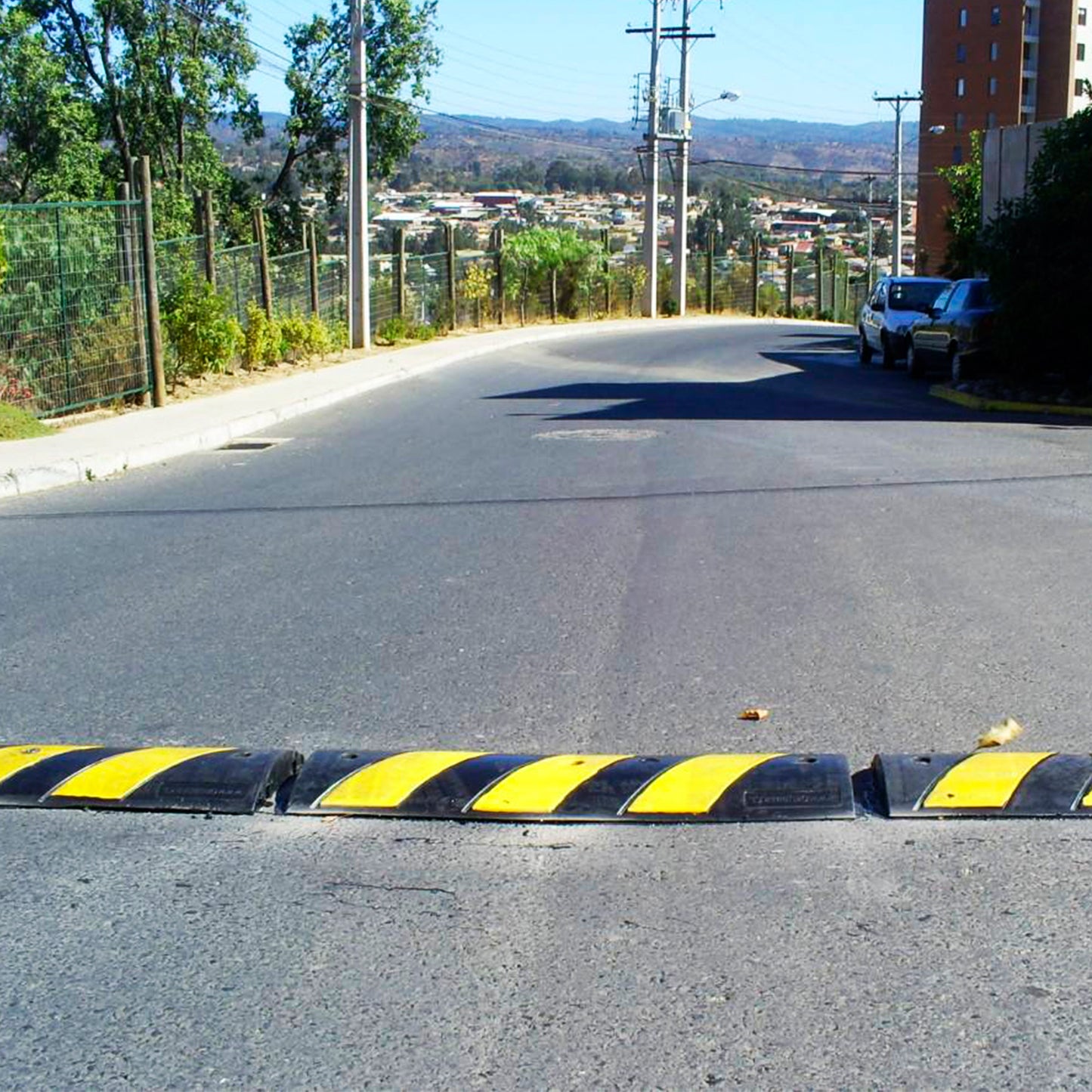 Lomo Toro Standard 90Cmx30Cmx55Mm